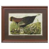 HEN & YOUNG BY JOHN J. AUDUBON