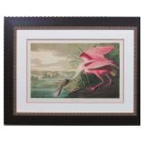ROSEATE SPOONBILL BY JOHN J. AUDUBON