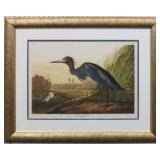 BLUE CRANE OR HERON BY JOHN J. AUDUBON
