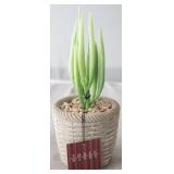 Artificial Plant by Three Hands