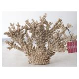 Coral Decoration by Three Hands