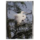 Stretch canvas print, 16 x 24