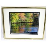 Framed Print, 11 x 15