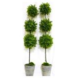 Pair Topiaries, 35" tall