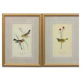 SET OF 2 ANTIQUE BIRDS BY JOHN J. AUDUBON