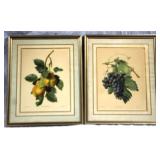 2pc Set Framed Prints 17" x 21"