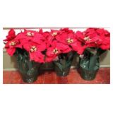 Faux Poinsettias - 16" Tall