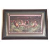 Framed Print, 22 x 17