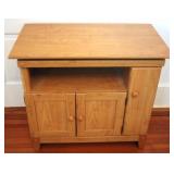 Server Cabinet - 31.5 x 18 x 28.5