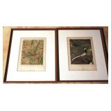 2 Framed Prints - 18 x 14.5