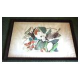 Framed Audubon Print - Black-billed Cuckoo