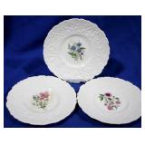 3 Royal Cauldon 9.5" Plates