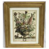 Framed Print 10x12