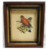 Framed Print 14x12