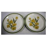 2 Stony Brook Stoneware Plates