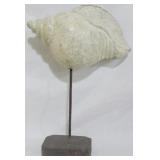 Carved Shell Decor Stand 17.5" Tall