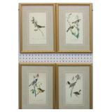 SET OF 4 ANTIQUE BIRDS BY JOHN J AUDUBON