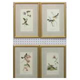 SET OF 4 ANTIQUE BIRDS BY JOHN J. AUDUBON