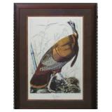 WILD TURKEY BY JOHN J. AUDUBON