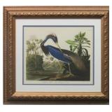 LOUISIANA HERON BY JOHN J. AUDUBON