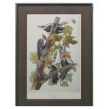 PILEATED WOODPECKER BY JOHN J. AUDUBON