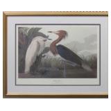 PURPLE HERON BY JOHN J. AUDUBON