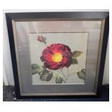 Framed Print - 38" x 38"