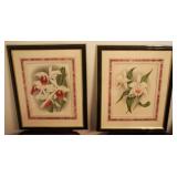 2 Framed Prints - 22" x 18"