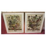 2 Framed Prints - 16" x 20"