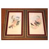 2 pc. Framed Prints - 18" x 26"