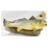 Taxidermy Fish Mount 24x13
