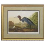 BLUE CRANE BY JOHN J AUDUBON