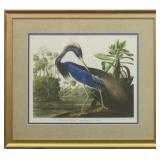 LOUISIANA HERON BY JOHN J AUDUBON