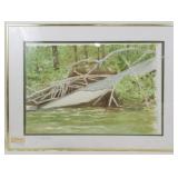 Bill Phillips "Fallen Giant River Scene"