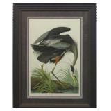 Blue Heron Giclï¿½e by John J Audubon