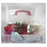 Plastic Case w / Dolls & Accessories