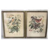Pair Vintage Framed Prints - 14" x 11"