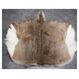 Deer Skin Rug 34x26