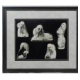 Frame of Dogs 17.5x20