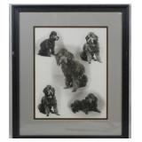 Frame of Dogs 20x17