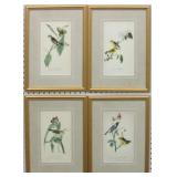Set of 4 Antique Birds by John J Audubon