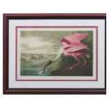 Rosette Spoonbill Giclee by John J Audubon