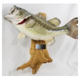Taxidermy Fish Wall Art 22"