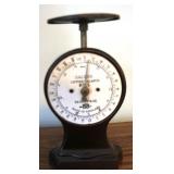 Antique Scale - 8 x 5