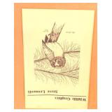 Steve Leonard Framed Print - 20" x 24"