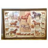 Framed Horse Print - 39" x 27"