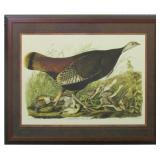 GREAT AMERICAN HEN AND YOUNG BY JOHN J AUDUBON