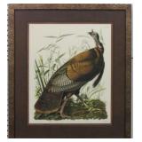 WILD TURKEY BY JOHN J AUDUBON