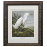SNOWY HERON BY JOHN J AUDUBON
