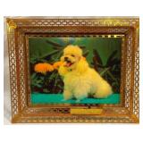 Lighted Framed 3D Print of Poodle/Dog "Fluffy"